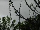 DSCN4687