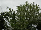 DSCN4749