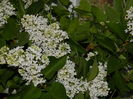 DSCN4757