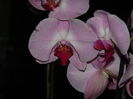DSCN4771