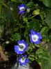 DSCN4797