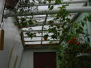 DSCN4804