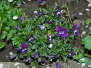 DSCN4812