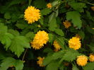 DSCN4838
