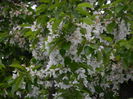 DSCN4845