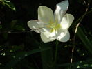 DSCN4852