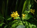 DSCN4853
