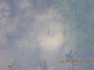 DSCN0619
