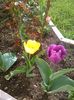 IMG_20160417_101447