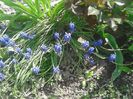 IMG_20160616_113553