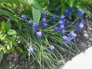 IMG_20160616_113556