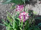 IMG_20160616_113604