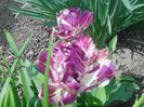 IMG_20160616_113610
