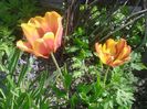 IMG_20160616_113659