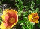 IMG_20160616_113703