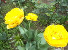 DSC07880