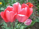 DSC07938