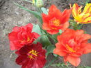 DSC07950