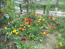 DSC07967