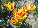 DSC08001