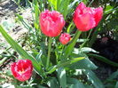 DSC08002