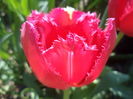 DSC08003