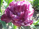 DSC08041