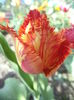 DSC08169