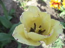 DSC08171