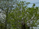 DSCN4855