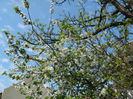 DSCN4860