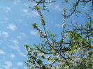 DSCN4861