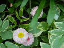 DSCN4888