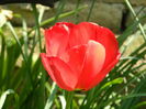 DSCN4896