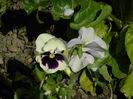 DSCN4897