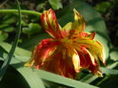 DSCN4959