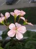 20160401_162134