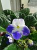 20160403_102653