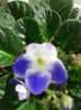 20160403_102658