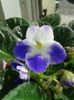 20160403_102704