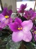 20160403_102728