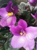20160403_102747