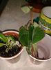 20160407_104246
