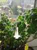 20160407_111446