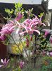 20160408_105323