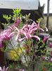 20160408_105327