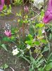 20160408_105339