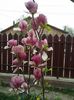 20160408_105353