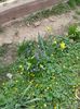 20160408_105426