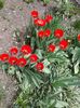 20160410_121915